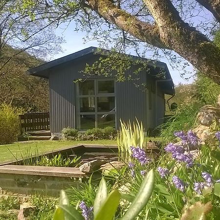 Au Phil Des Saisons Villa Arbre Eksteriør billede